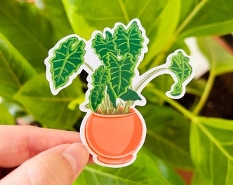 Alocasia Plant Sticker, Potted Plant Sticker, Houseplant Sticker, Waterproof Vinyl Sticker