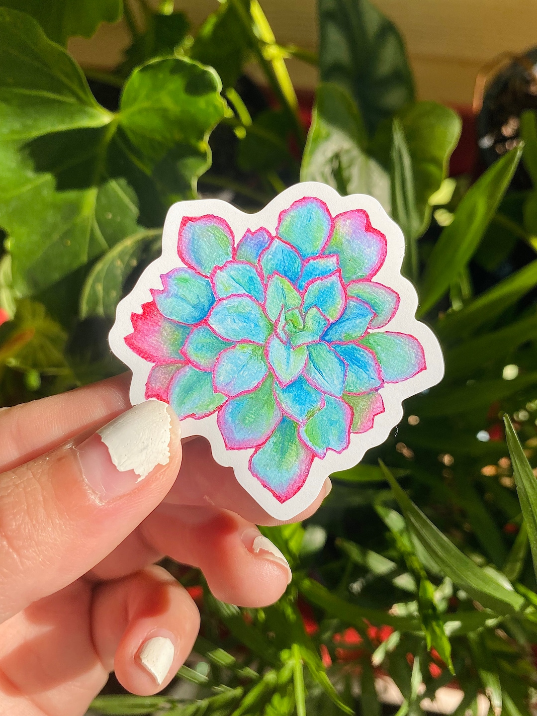 Succulent Plant Refrigerator Art Etsy