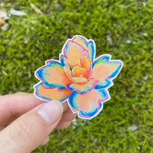 Pegatina suculenta, pegatina de plantas, pegatinas de dama de plantas, amante suculenta
