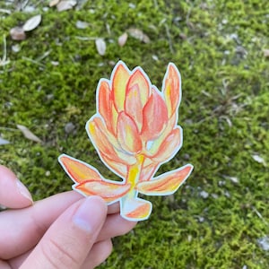 Sukkulenten Sticker, Pflanzen Sticker, Pflanzen Lady Sticker, Sukkulenten Liebhaber