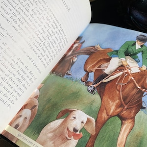 Black Beauty by Anna Sewell Illustrated by Neil Reed A Hardcover Boarder Press Publication