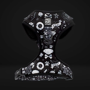 Pettorina Bad To The Bone-io, stile Graffiti, accessori per animali domestici