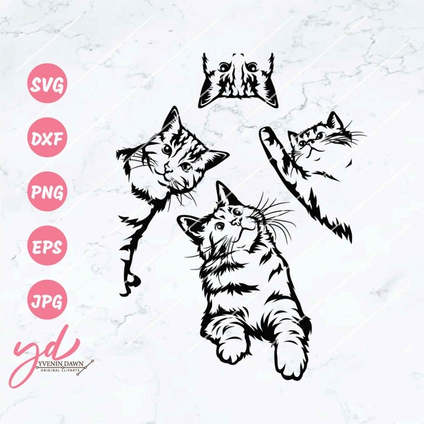 Cat Svg | Cute Cat Svg File | Peeking Cat Svg | Cat Clipart | Funny Cat Svg | Peeking Pet Face Clipart | Cute Cat Shirt design | Cat Png