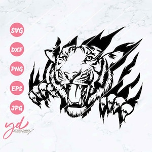 Tiger Svg | Tiger Scratch Svg | Tiger Claw Svg | Tiger Decals | Tiger Animal Svg | Tiger Look Svg | Tiger Cut Files | Fierce | Tiger Png