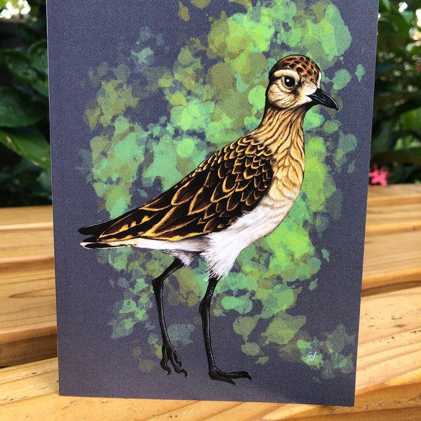Kolea (Pacific Golden Plover) Blank Greeting Card