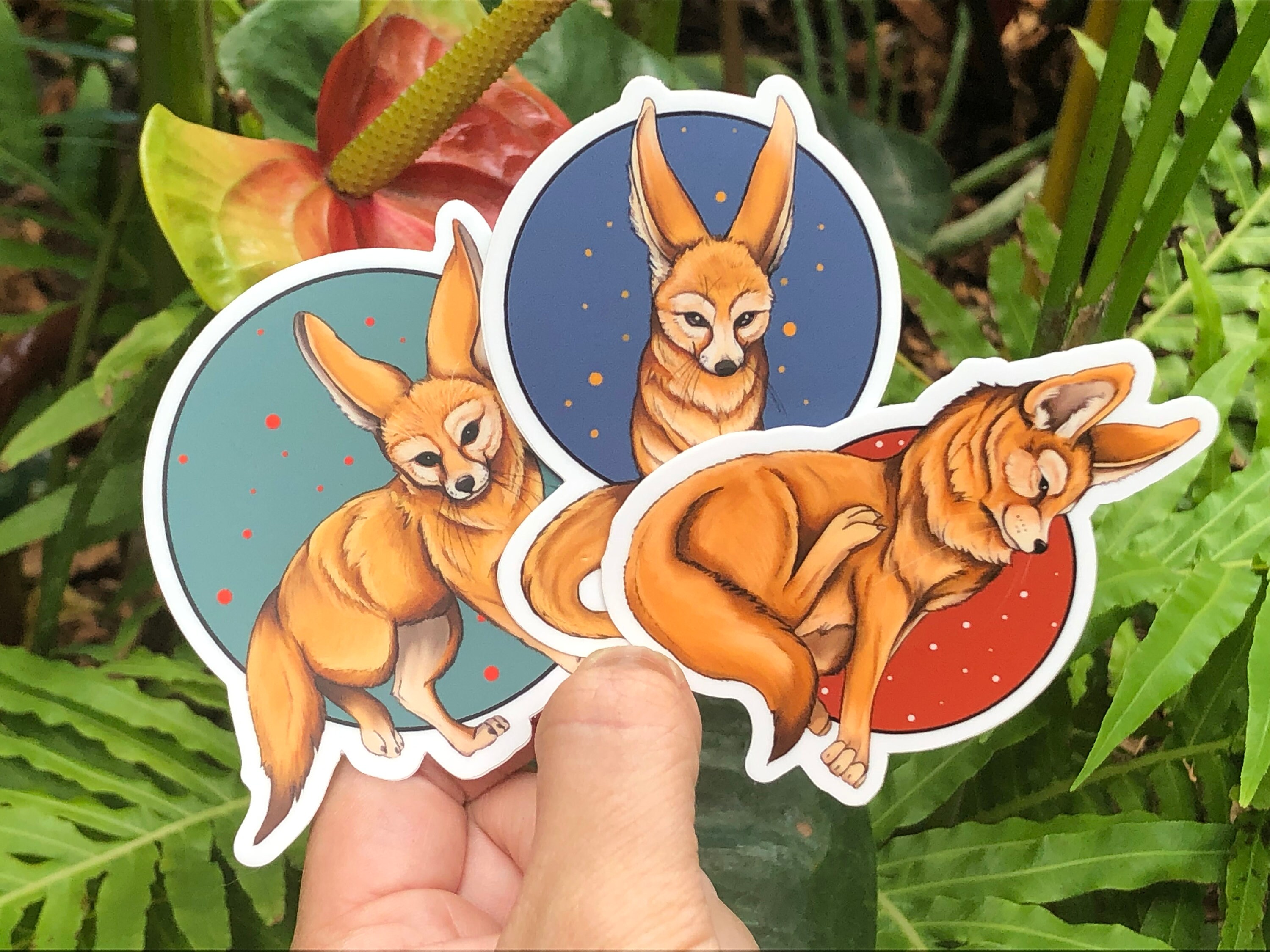 Fennec Fox Sticker Pack (3 Count) - Etsy