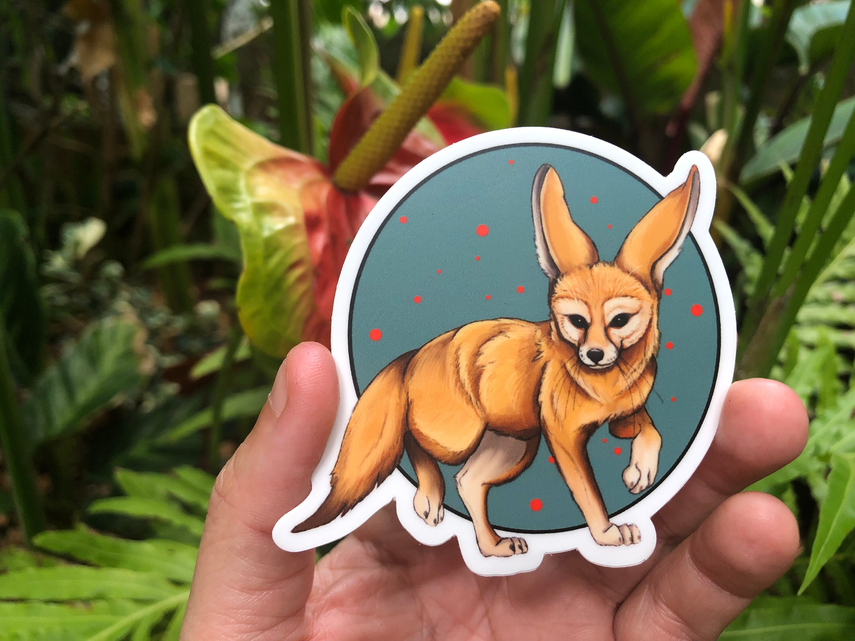 Fennec Fox Sticker Pack (3 Count) - Etsy