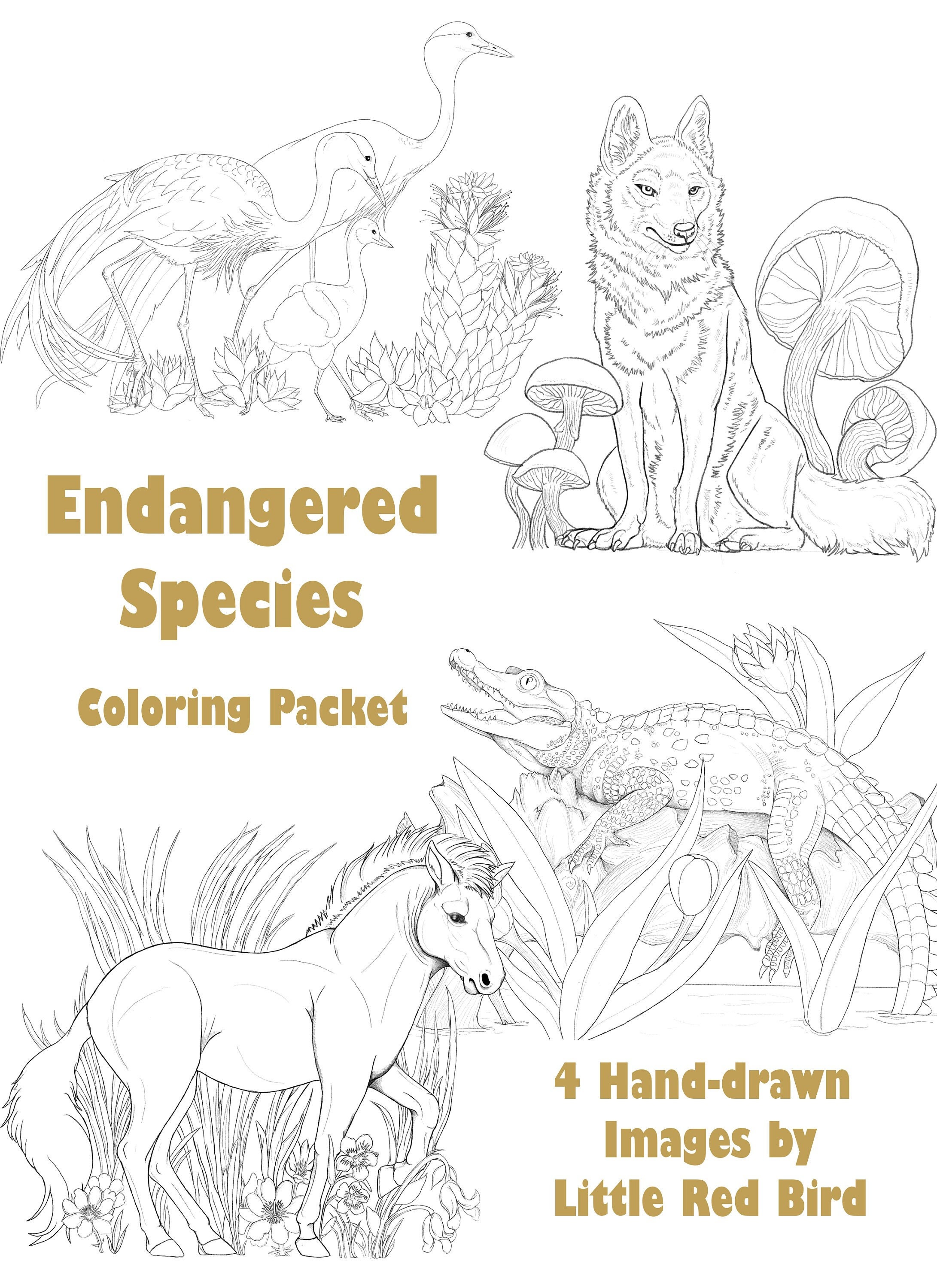 Endangered Species Coloring Packet #1 - Etsy