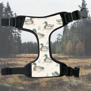 Mallard Duck Pet Harness, Collar and Harness Sets