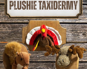 Plushie Animal Taxidermy