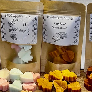 May include: Six small bags of wax melts in various fall scents. The bags are labeled with the scent names: Campfire Stories, Cozy Fireplace, Fall Magic, Fresh Baked Banana & Nut, Honey & Spice, and Pumpkin Apple. Each bag contains small wax melts shaped like leaves.