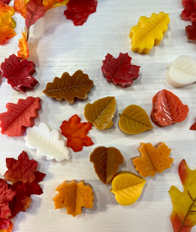 May include: Assortment of fall-themed wax melts in various leaf shapes and colors, including red, orange, yellow, brown, and white. The wax melts are arranged on a white surface.