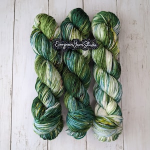 Forest Path | READY TO SHIP | Hand Dyed Yarn, Indie Dyed Yarn, Sock Yarn, Worsted Yarn, Superwash Merino