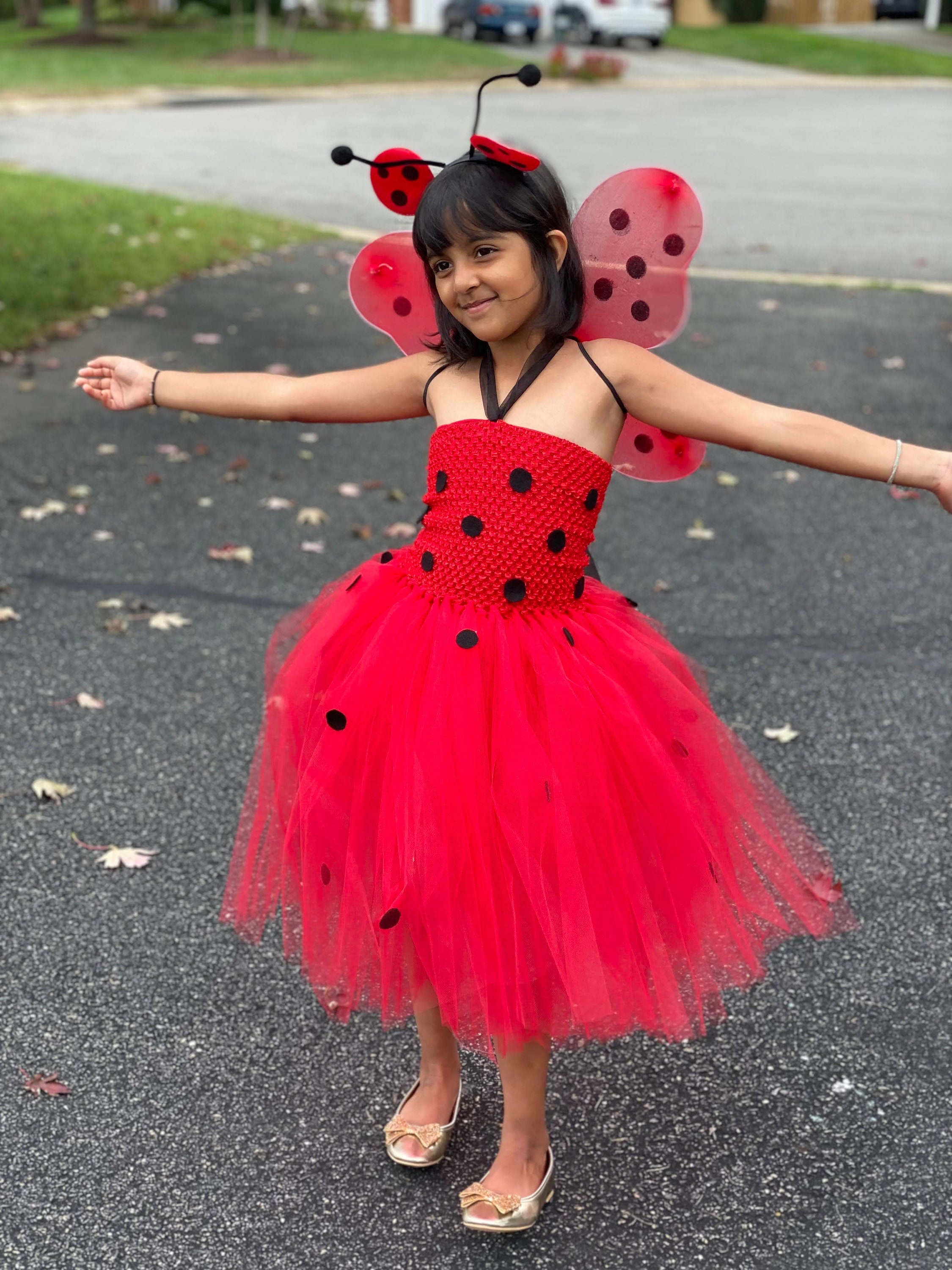 Beautiful Ladybug Kids Tutu Dress With Wings and Antenna Etsy Australia