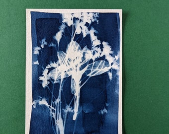 Cyanotype original végétal au format A6