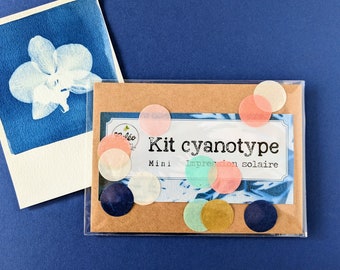 DIY mini cyanotype kit avec feuille photosensible et guide, idéal pour un remerciement, cadeau d'invité