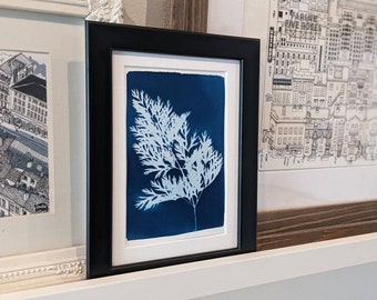 Cyanotype végétal fane de carotte, original au format A6