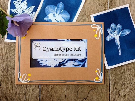 cyanotype kit