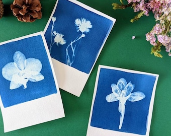 Cyanotype, plant original in A6 format, Polaroid collection