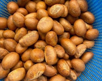 Nuts & Seeds | Bitter Kola | Orogbo | Gooro | Garcinia Kola [ FREE SHIPPING USA]