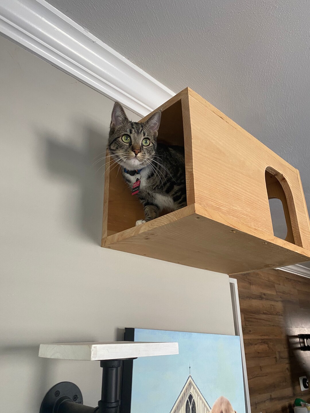 Cat House for on Wall Cat Tree Multiple Color Options Etsy