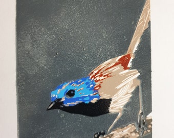 Original reduction lino print. Bird. Fairy Wren. Malurus Lamberti
