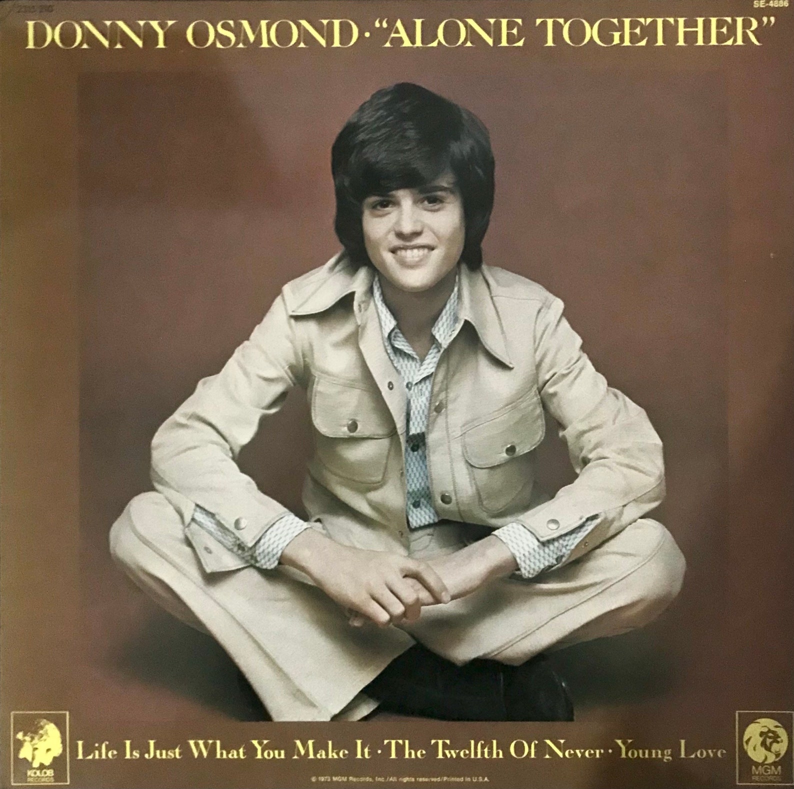 Donny Osmond Album Vinyls Bulk 10 Record Players Etsy