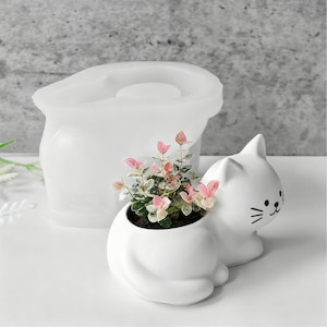 May include: A white ceramic cat-shaped planter with a small plant featuring pink and green leaves. A clear, white silicone mold is behind the planter. The cat planter has black facial details.