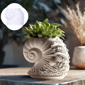 Può includere: Un vaso a forma di conchiglia bianca con una pianta succulenta. Il vaso presenta intagli dettagliati di stelle marine, conchiglie e coralli. La succulenta ha foglie verdi. Il vaso è appoggiato su una superficie di legno.
