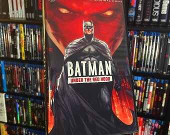Batman Under The Hood 2010 Custom Display SIN - Etsy