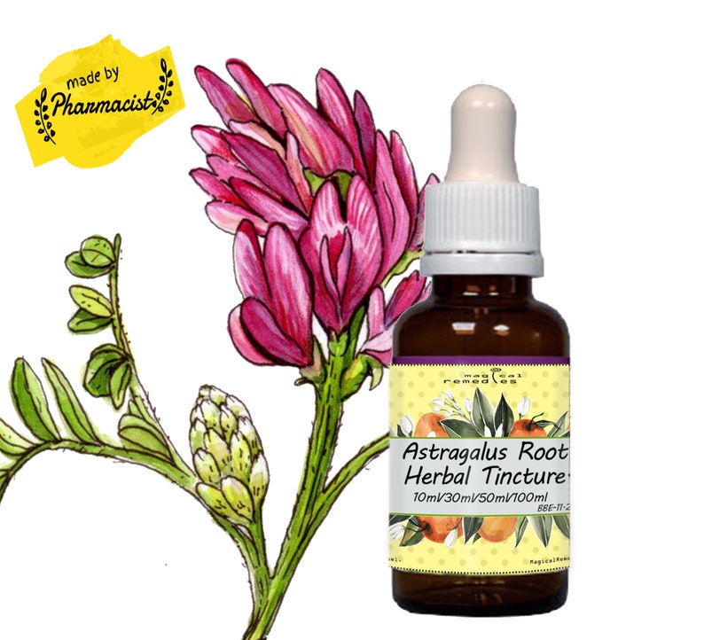 Astragalus Tincture Astragalus Membranaceous tincture, Extract, Highest