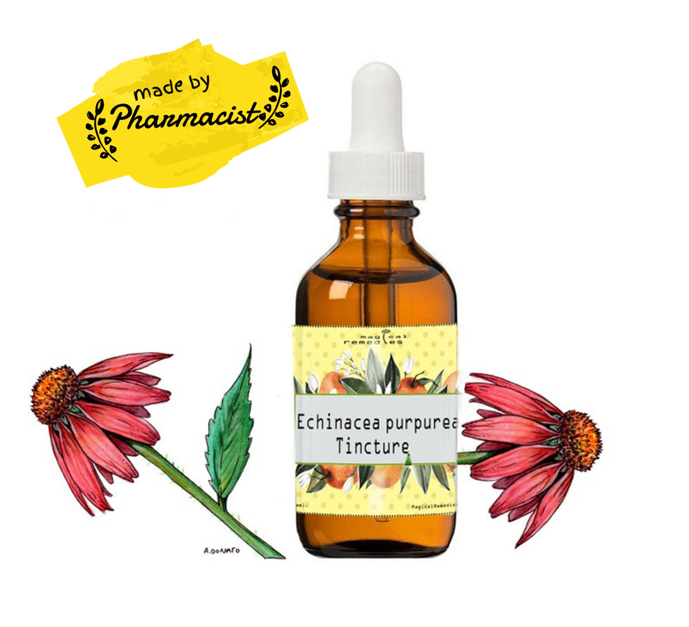 Echinacea Purpurea Root Tincture.highest Strength Alcoholbased