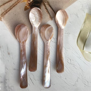 Natural Polished Abalone Shell Spoon