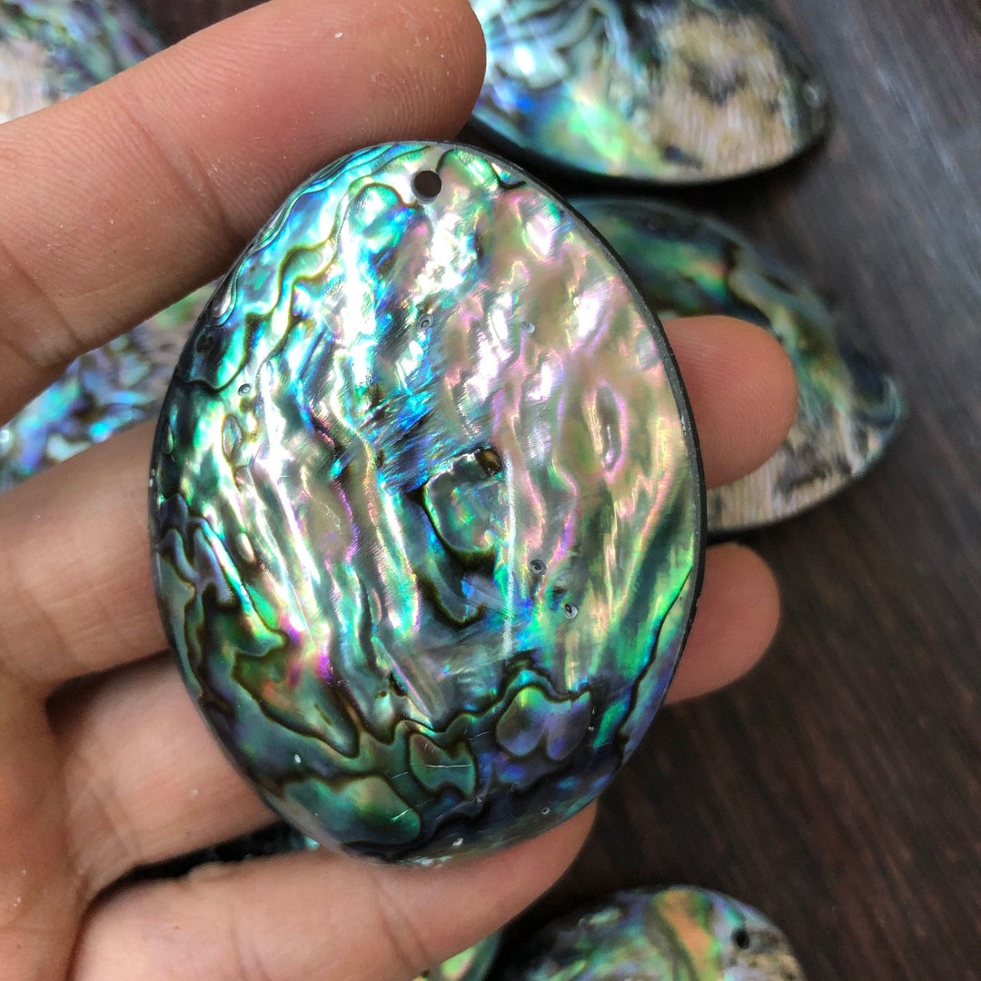 AAA Grade Natural Abalone Shell Mother of Pearl - Etsy