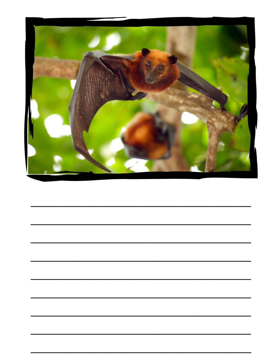 Printable Bats Activities, Printable Bats Worksheets, Homeschooling ...