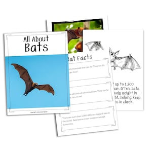 Puede incluir: Un recurso educativo imprimible sobre los murciélagos. El documento incluye información sobre los murciélagos, como su capacidad de volar y su dieta. El documento también incluye una ilustración en blanco y negro de un murciélago.