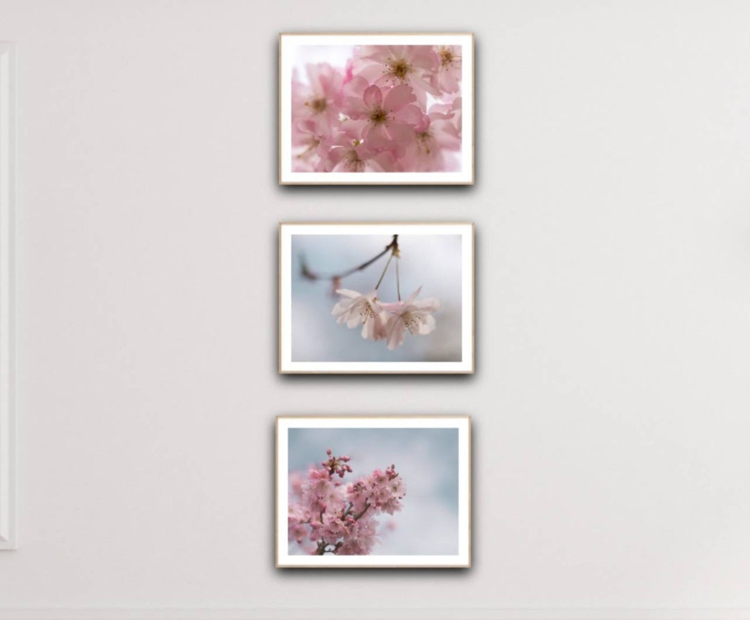 Cherry Blossom Photo Prints Set: Spring Pink Floral Wall Art - Etsy