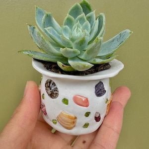 Tiny Flowerpot, Succulent Planter Pot, Airplant Pot, Miniature Pot, Handmade Gift Idea, Pottery, Succulent Pot