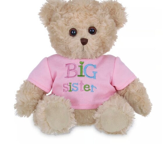 Little brother best sale teddy bear