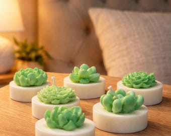 Cacti Succulant Candles, Party favors or Gifts