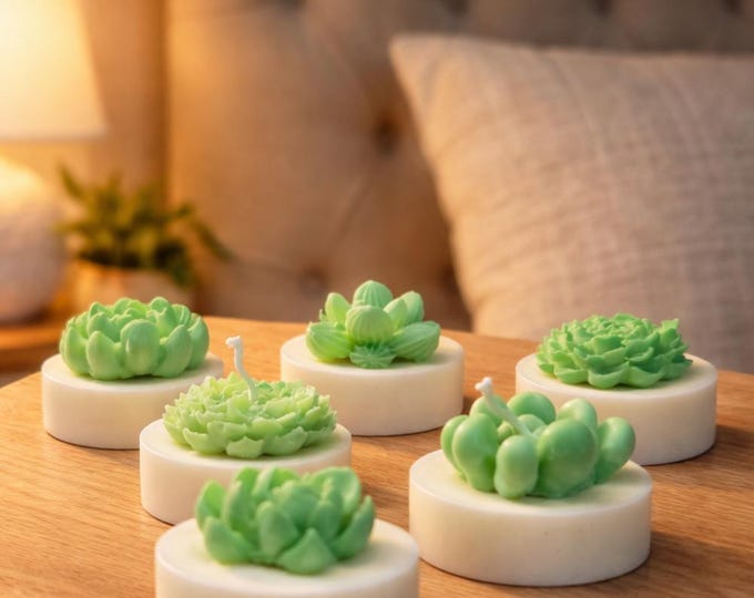 Cacti Succulant Candles, Party favors or Gifts