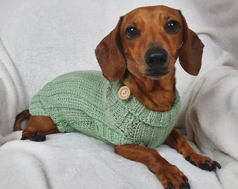 Mini dachshund jumper