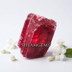 Peut inclure: Un cristal de tourmaline brut rouge profond avec une texture translucide et des stries verticales. Le texte SHYAMGEMS est imprimé en gris au centre de la pierre, qui est entourée de plusieurs petites fleurs de jasmin blanches.