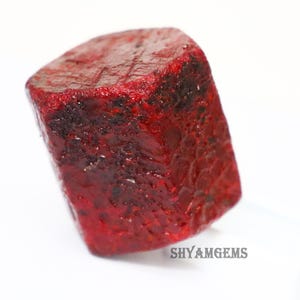 May include: A raw, hexagonal ruby crystal with a deep red colour and a textured, uneven surface. The gemstone features natural facets and dark inclusions throughout its structure. The text SHYAMGEMS is printed in black at the bottom right corner.