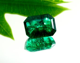 Ceylon Emerald Cut Gemstone: 9.70 Carat Sri Lanka Emerald