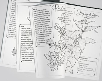 Invasive Plant foraging coloring book, Digital Download