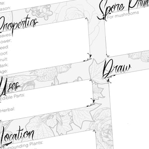 Foraging & Feasting Foraging Journal Digital Download