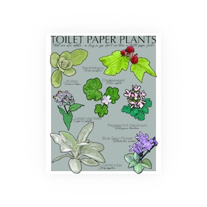 Pôsteres de plantas de papel higiênico