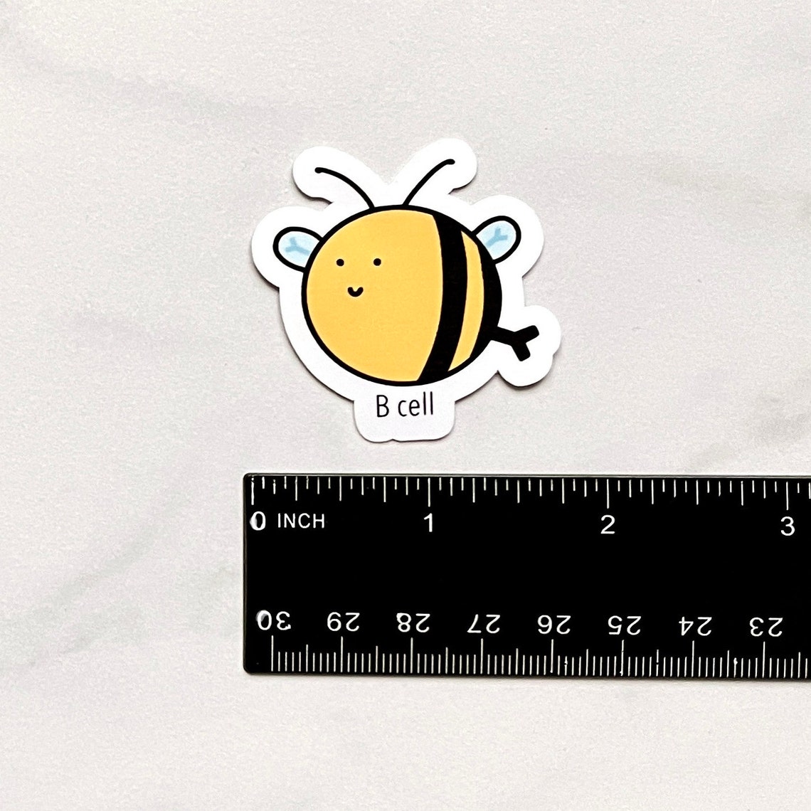 B Cell Sticker - Etsy