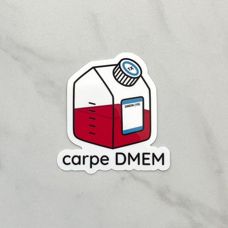 Dmem Sticker Carpe DMEM Sticker - Etsy